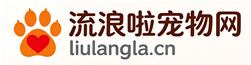 全国宠物领养·送养平台-流浪啦宠物网