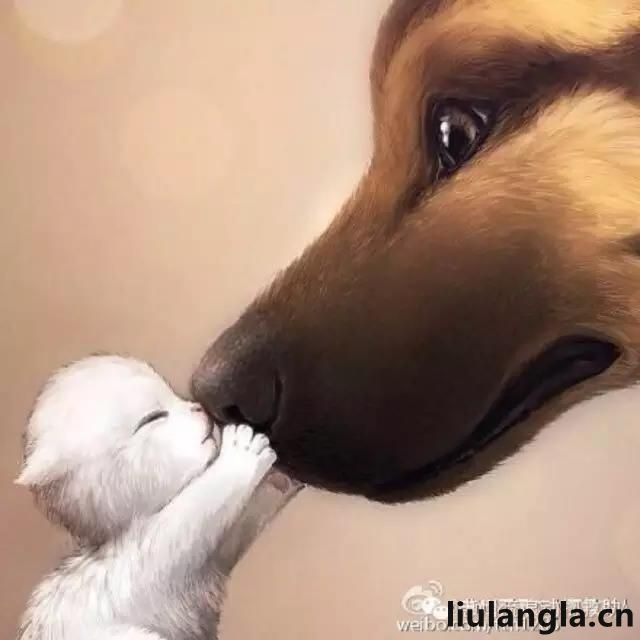 1_202203160048595c95e.jpg
