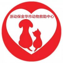浙江动保 金华关爱动物救助小院