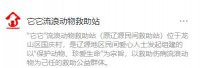 辽源市它它流浪动物救助站