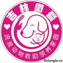 吉林市微爱流浪动物救助领养家园