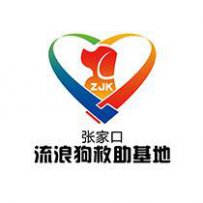 张家口流浪狗救助基地