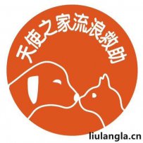 镇江市 天使之家流浪动物救助基地