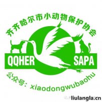 齐齐哈尔市流浪狗救助基地-齐齐哈尔小动物保护协会