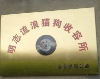 毫州市蒙城明志流浪猫狗收容所