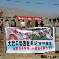 石嘴山大武口区流浪动物救助站