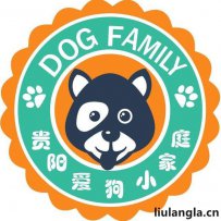 贵阳市的流浪狗和救助基地-爱狗小家庭