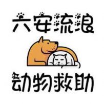 六安市 动物关怀中心互助平台-这里是狗狗的家