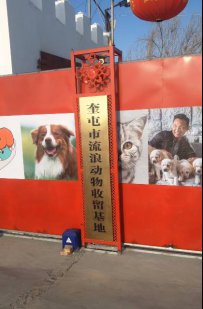 伊犁哈萨克自治州奎屯市新奎流浪狗救助站