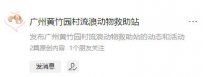 广州黄竹园村流浪动物救助站