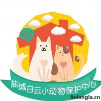 盐城白云小动物保护中心免费领养宠物