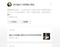 武汉暖忆小动物爱心驿站