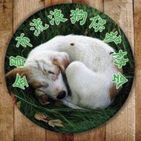 金昌市流浪动物之家