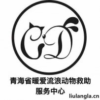 西宁市动物流浪狗救助基地，暖爱流浪动物救助中心