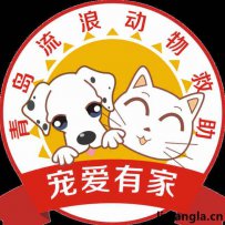 青岛市宠爱有家流浪动物救助中心