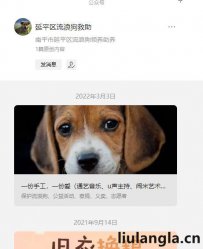 南平市延平区流浪狗救助