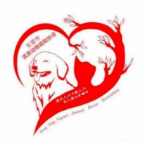 东营市 流浪猫狗救助收容中心