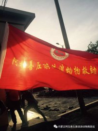 内蒙古阿拉善左旗流浪动物救助站