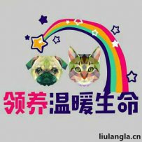 郑州市 温暖TA领养中心
