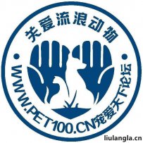 大连宠爱天下论坛