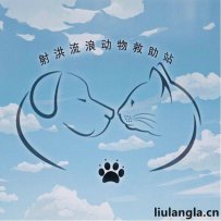 遂宁市射洪流浪动物救助站