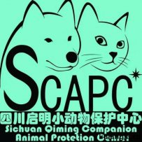 成都市 流浪狗领养中心，启明小动物保护中心