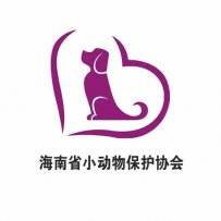 海口市 小动物保护协会