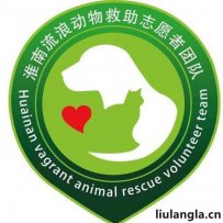 淮南市 流浪动物救助志愿者团队 电话 地址 联系方式