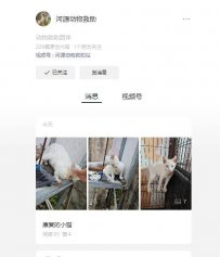 河源动物救助中心