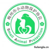 梅州市小动物保护协会