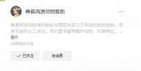 淮南寿县流浪动物救助，寿县流浪动物救助地点