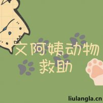 重庆文阿姨动物救助中心