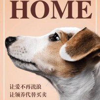 十堰市房县流浪动物爱心之家