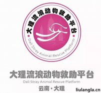 大理白族自治州 流浪动物救助救助平台