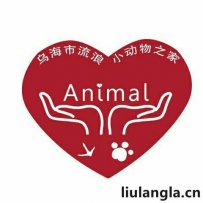乌海市流浪小动物之家联系方式