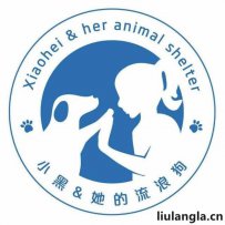 襄阳市枣阳市小黑和她的流浪狗详细情况