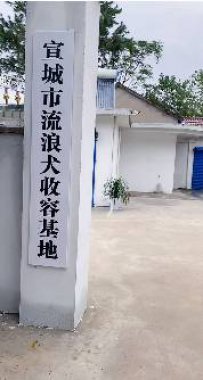 宣城爱心流浪狗救助基地