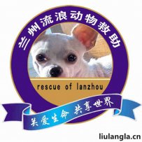 兰州流浪动物救助站