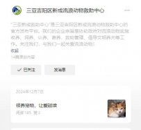 三亚吉阳区新成流浪动物救助中心