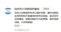 沧州小动物保护协会地址 联系方式