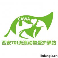 西安701流浪动物爱护驿站 - 西安流浪动物救助站电话