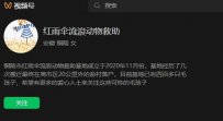 铜陵市红雨伞流浪动物救助中心