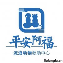 南京平安阿福流浪动物救助中心详情