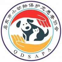 江苏南通启东市小动物保护志愿者协会 南通流浪狗收养中心