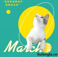 重庆旺汪家园宠物中心,前身是重庆小动物保护协会