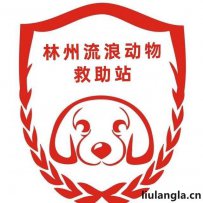 安阳市林州流浪动物救助站