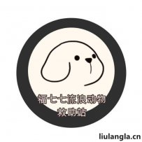 克拉玛依市白碱滩区福七七流浪动物救助站（克拉玛依高新区）简介
