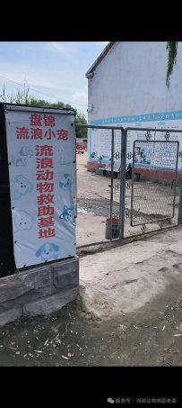 盘锦市流浪小宠流浪动物救助中心基地地址