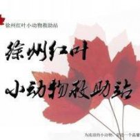 徐州市 红叶小动物救助站