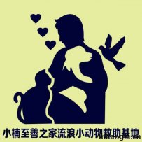 沈阳流浪救助基地，小楠至善之家流浪小动物救助基地
